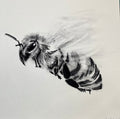 bee No. 11 Hahnemühle Photorag – ungerahmt