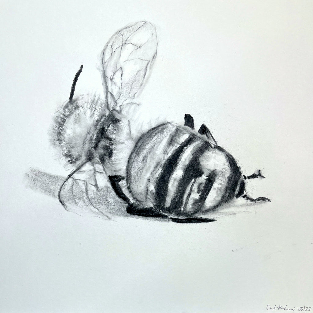 Bee No. 13 Hahnemühle Photorag – ungerahmt